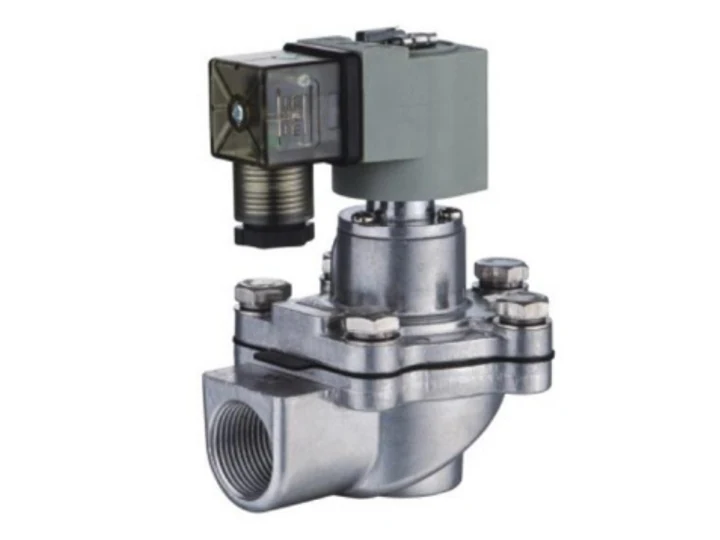 KLG Pulse Valve