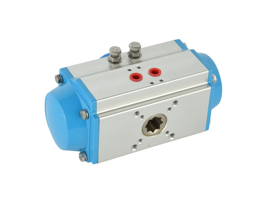 Pneumatic Actuators sample 3